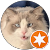 TN silvercat TN silvercat