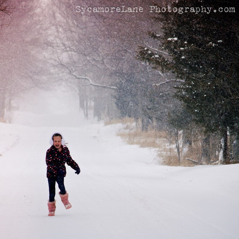 SycamoreLane Photography--snow