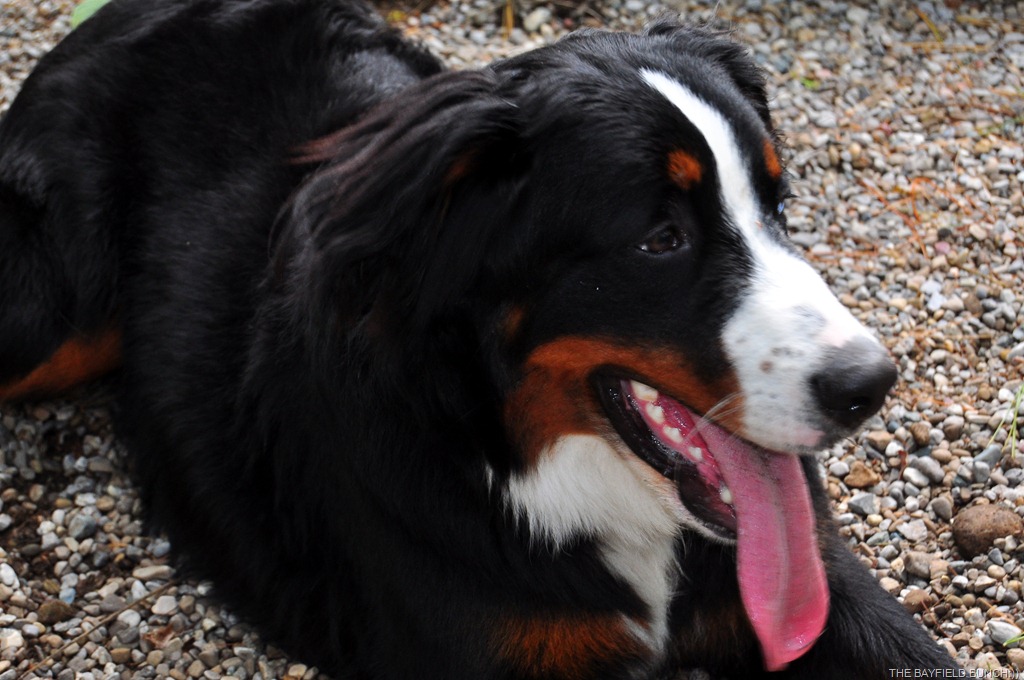 [DSC_0032%255B4%255D.jpg]