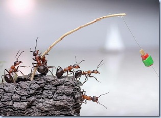 fantasy-world-of-ants5