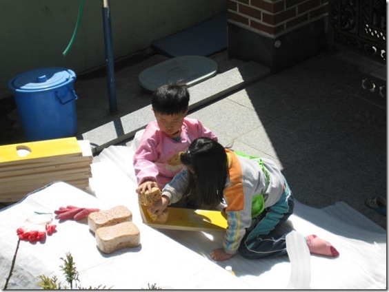 Gallery4528_2