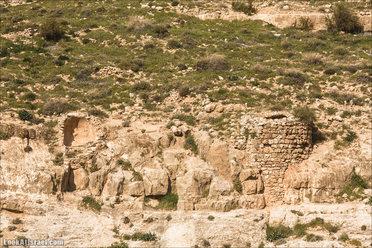LookAtIsrael.com - Ущелья Харитона и Суккийская лавра в ущелье Ткоа | Wadi Tekoa and Hariton Cave | נחל תקוע מערת חריטון