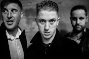 The Amazing Snakeheads