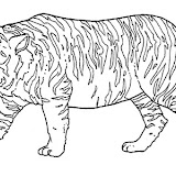 animales salvajes 8.jpg