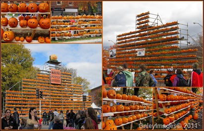 pumpkinfest towers