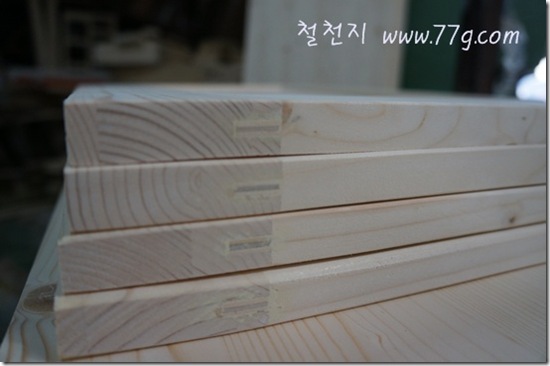 철천지DSC06046-20120314-112402