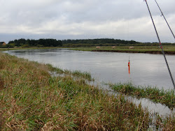 Skjern Au _ Oktober 2012 - 124