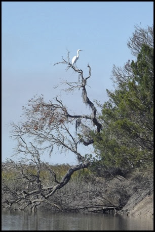 Botony Bay Kayak 014