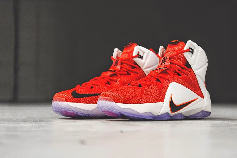 nike lebron james lion