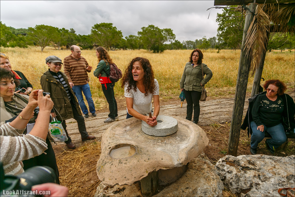 Неот Кдумим - Заповедник библейской природы | נאות קדומים