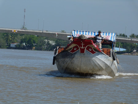 vas in Delta Mekong