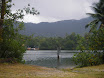 Austr_409_11.11.2007.JPG