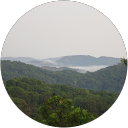 Divya Chandrashekara