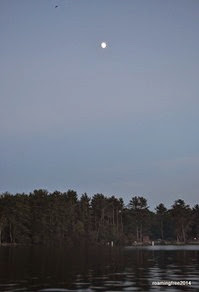 Moon rising over the lake