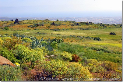 2517 Camino de la lava 2517 Camino de la lava