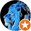 Cobalt lions profile picture