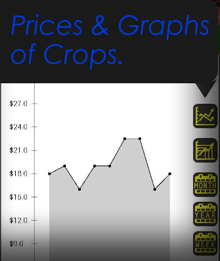 DYFEX- Produce Grains Farm.