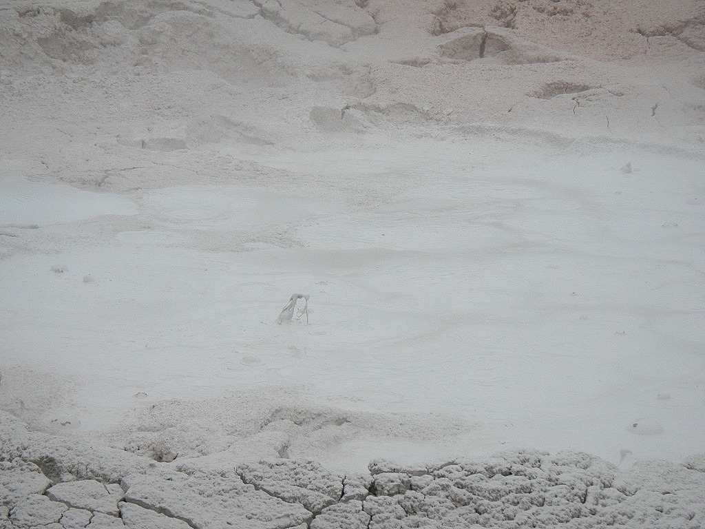 [DSCN5980%2520-%2520Kopie%255B5%255D.jpg]