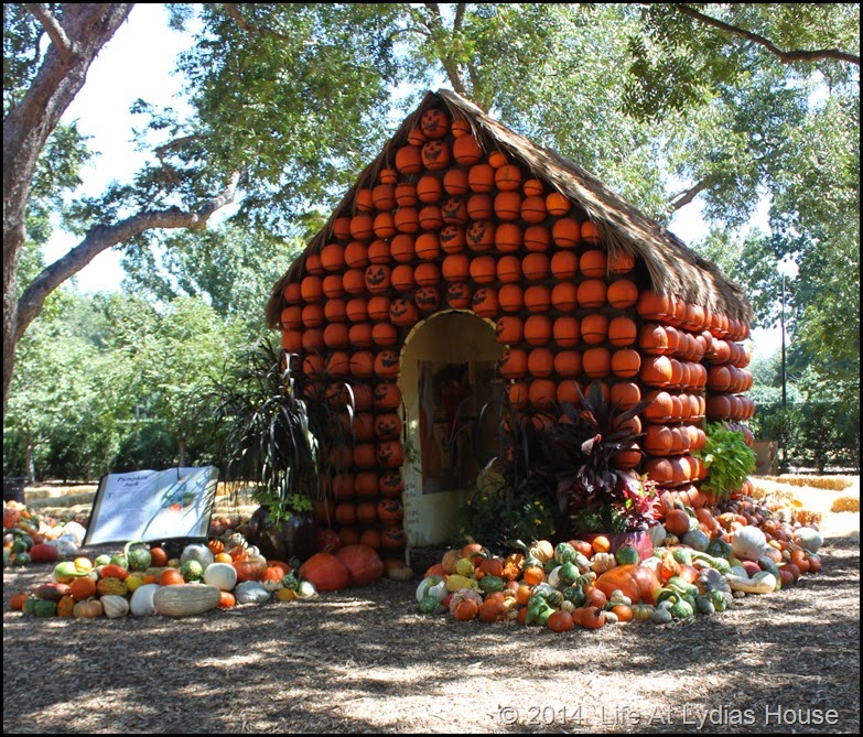 Dallas Arboretum - pumpkin festival-pumpkin house 4