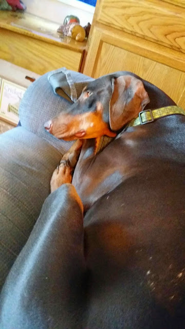 Sonjia takes care of mama ... (Cell photo by Trisha)