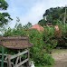 Finca Neblina del Bosque - La Rampla, Nicaragua esteli-jinotega-miraflor_055.jpg