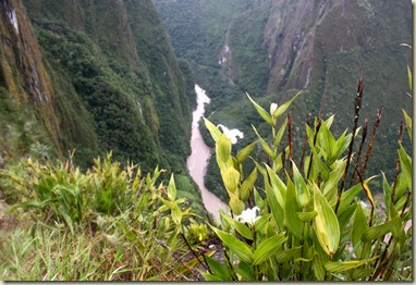 machuIMG_9024