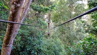 DSCF2145.JPG