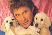 David Hasselhoff