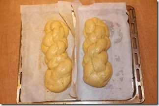 IMG_0468 IMG_0468