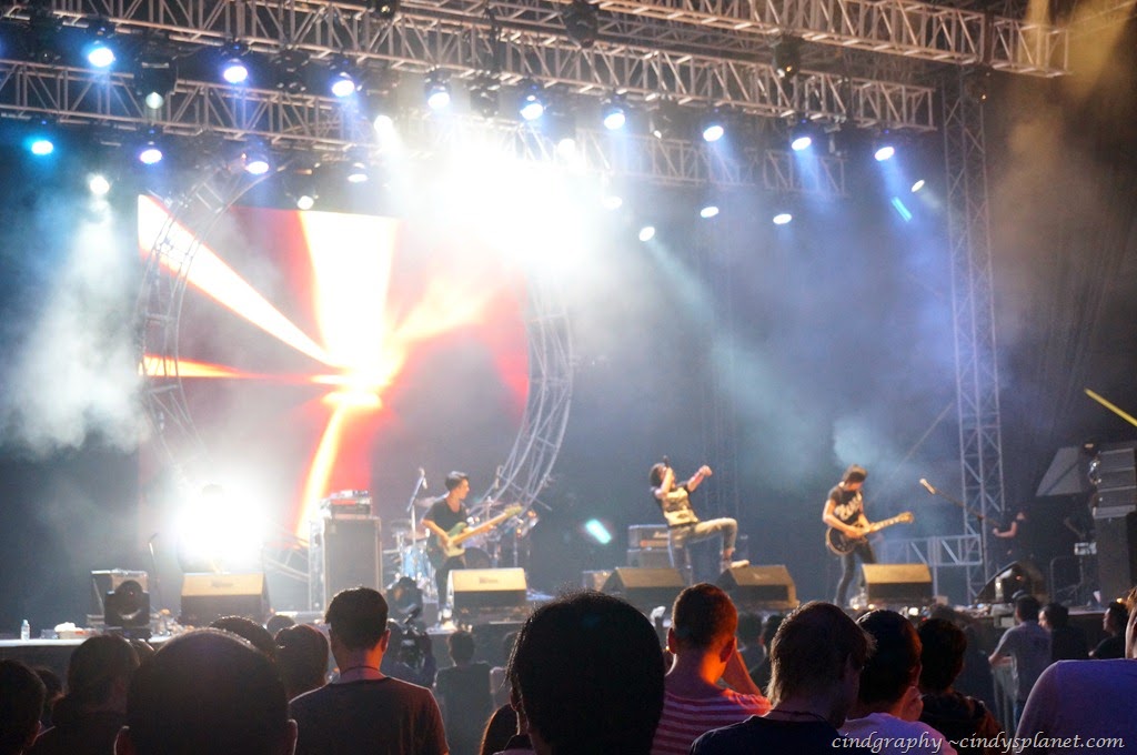 [Tiger%2520Translate36%255B6%255D.jpg.webp]