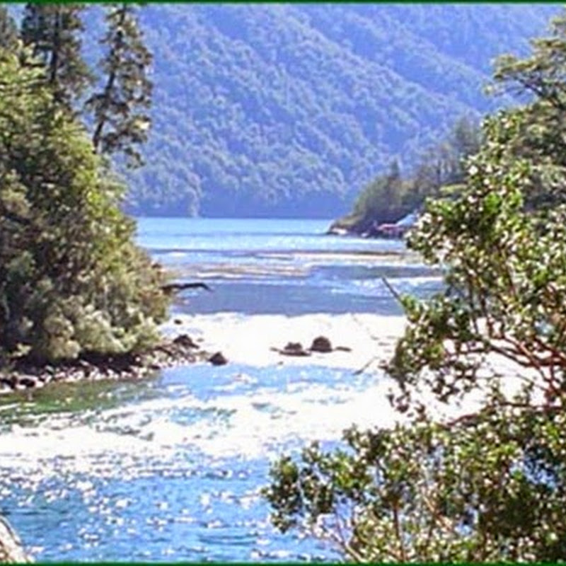 Il Lago Menéndez è una meta turistica molto visitata nella Provincia di Chubut.