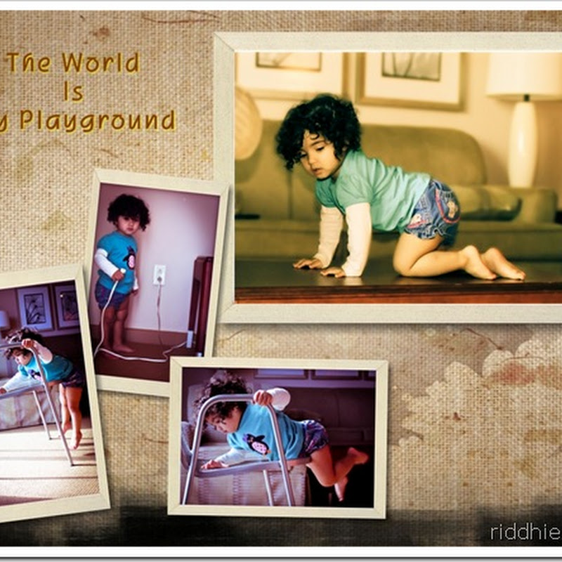 The World Is My Playground