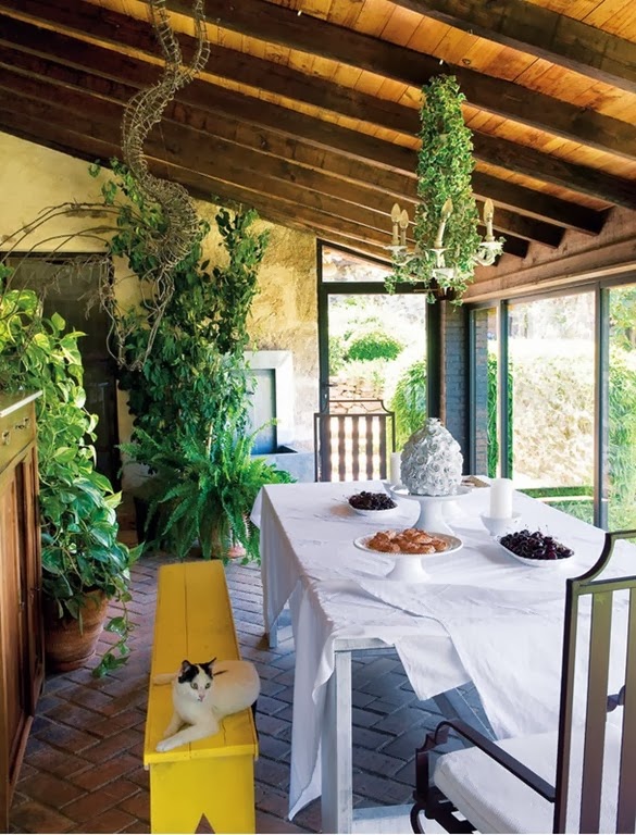 [czuje%2520koolory12.jpg]