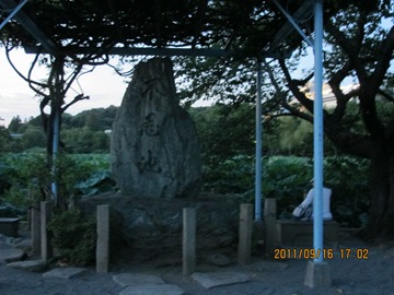 20111916日本上野公園-013