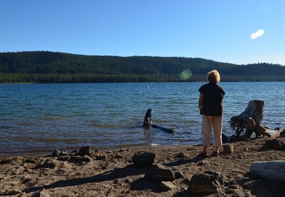 evening play on the beach at Medicine Lake