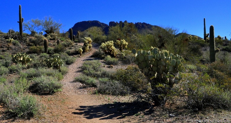 [DSC_0027%255B5%255D.jpg]