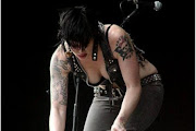 The Distillers