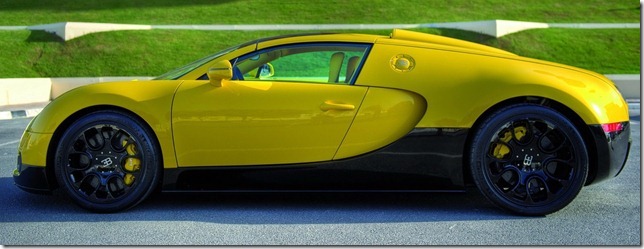 Bugatti-Veyron-Grand-Sport-8[2]
