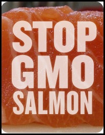 stop_gmo_salmon