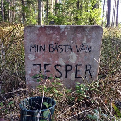 Jesper