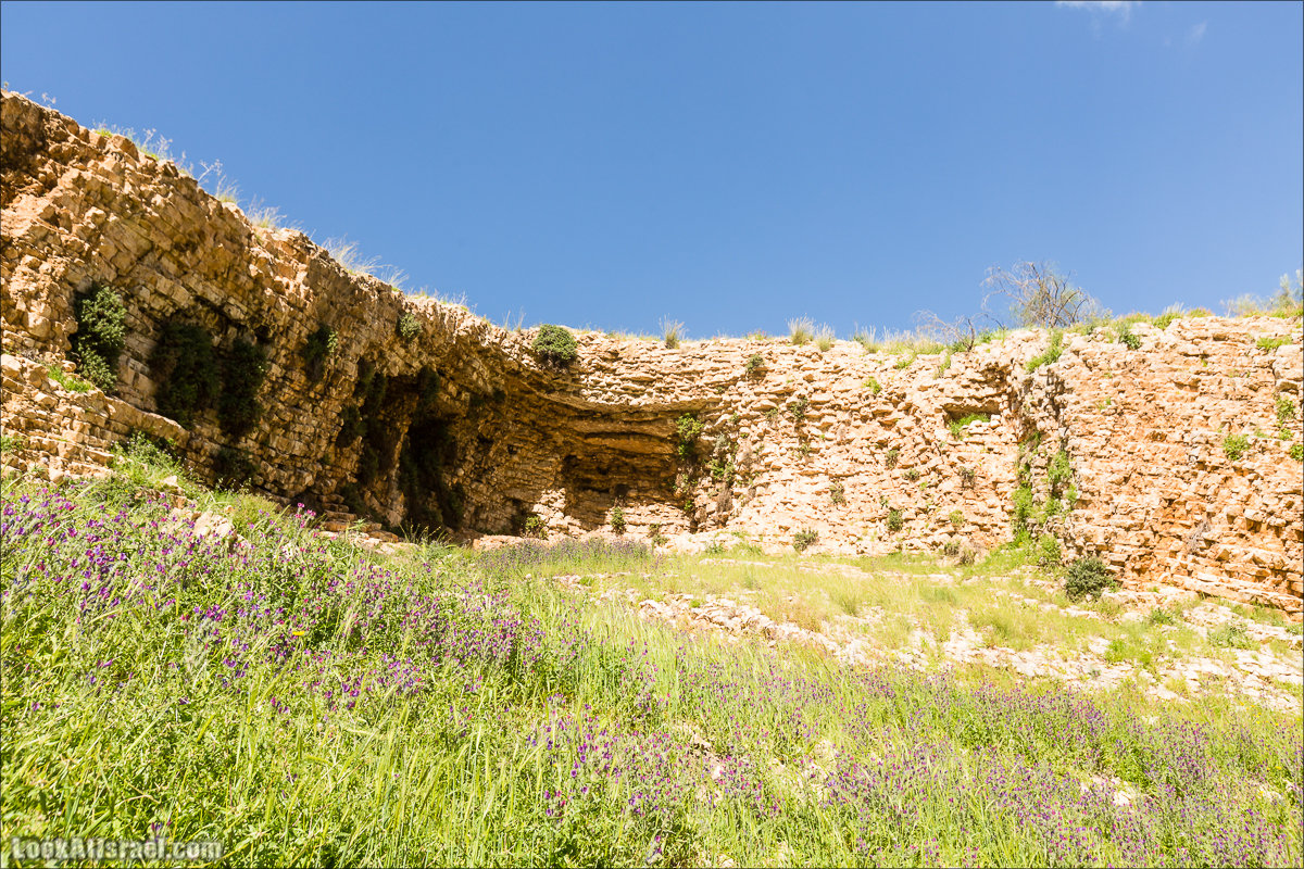 LookAtIsrael.com - Ручей (нахаль) Талкид | Nahal Talkid | נחל תלקיד