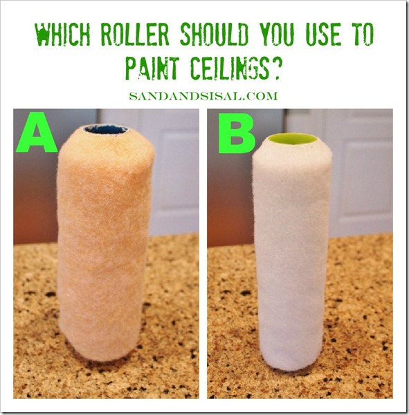 Paint roller quiz