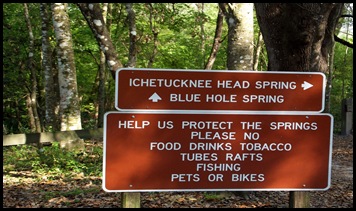 Checking out Ichetucknee Springs SP 245