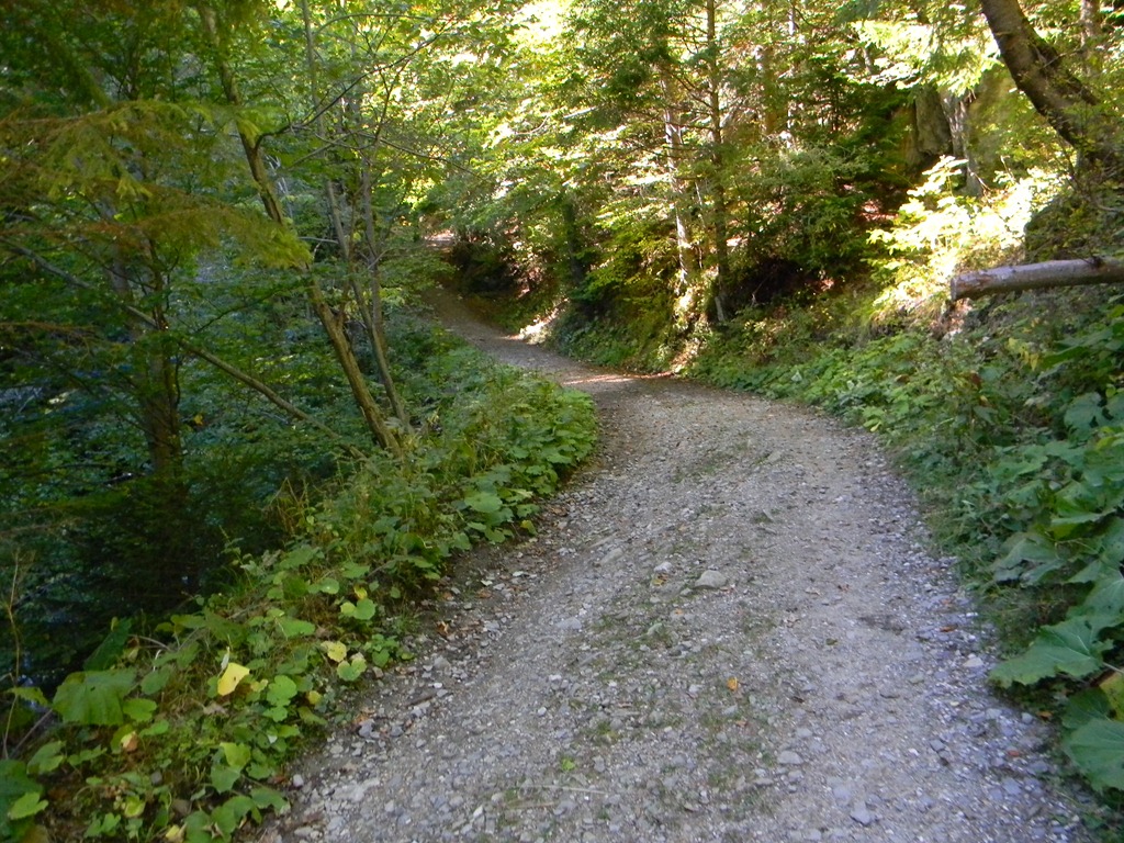 [DSCN67673.jpg]
