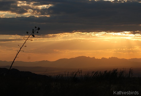 1. Proctor trail sunset-kab