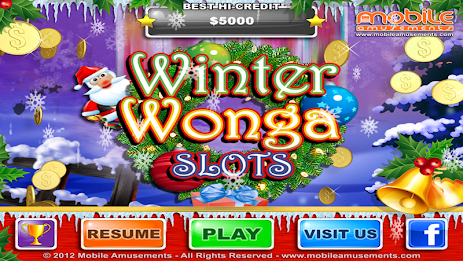 Winter Wonga Slots poster 11