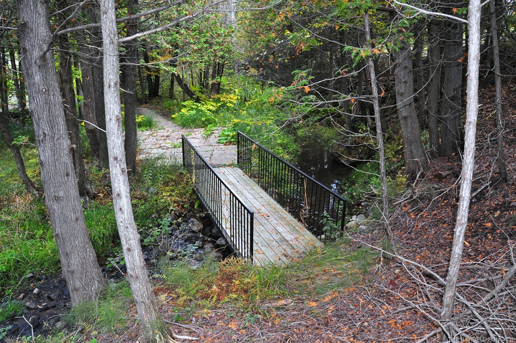 [DSC_0052%255B3%255D.jpg]