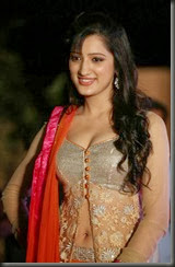 richa_panai_gorgeous_looking_image
