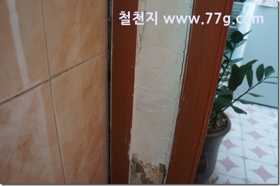 77gDSC04852-20130823-114358