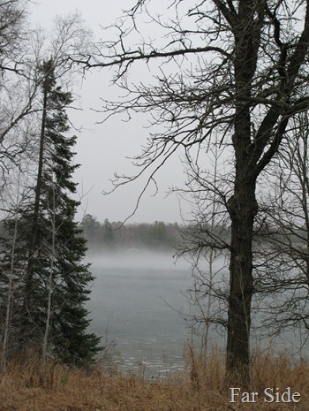 Advection fog on the lake March23